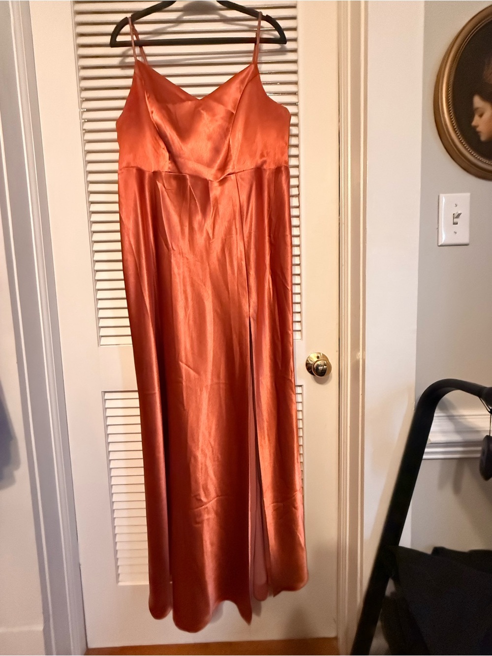 Birdy Grey Satin Maxi Skirt in Rust